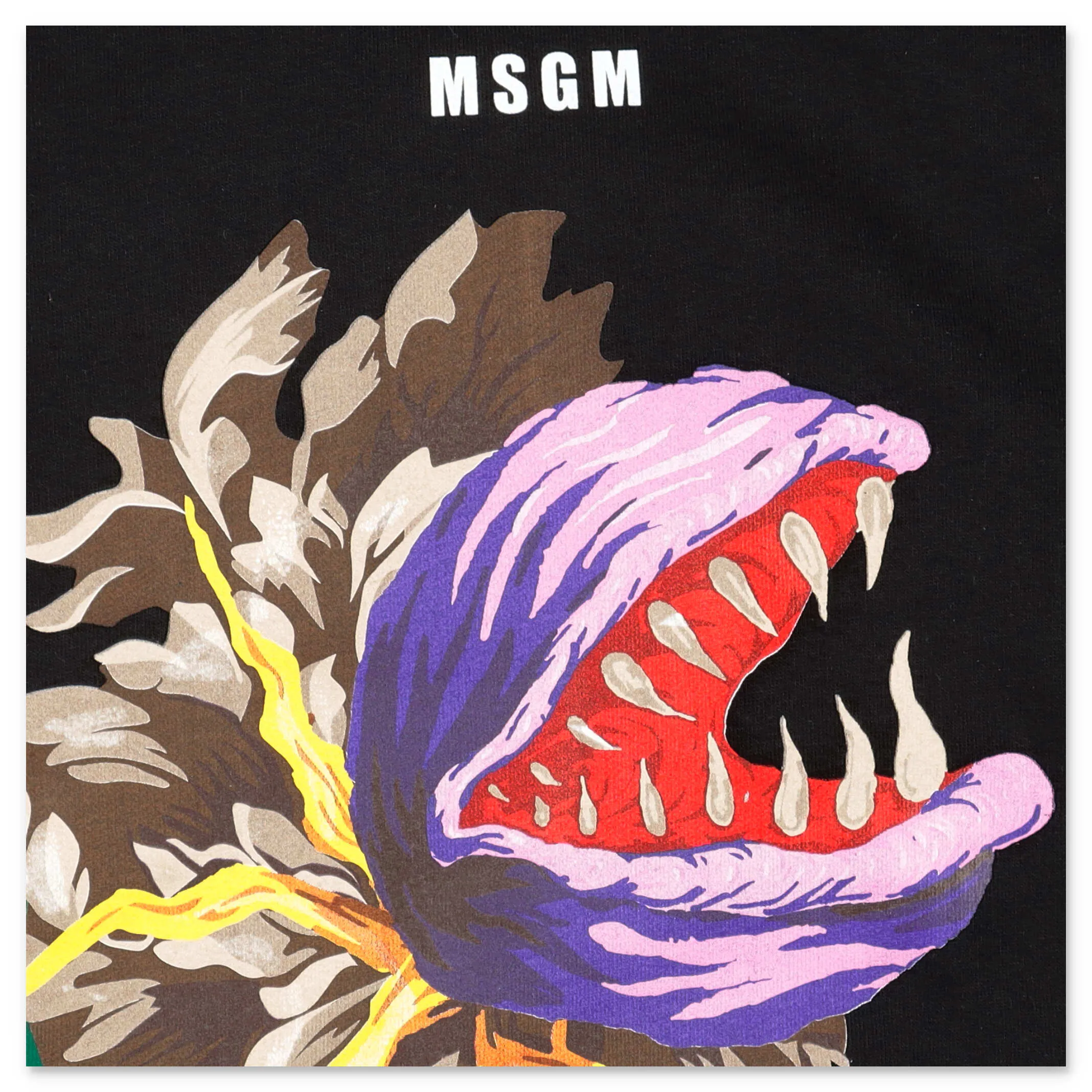 MSGM Kids Graphic Printed Sweatshirt