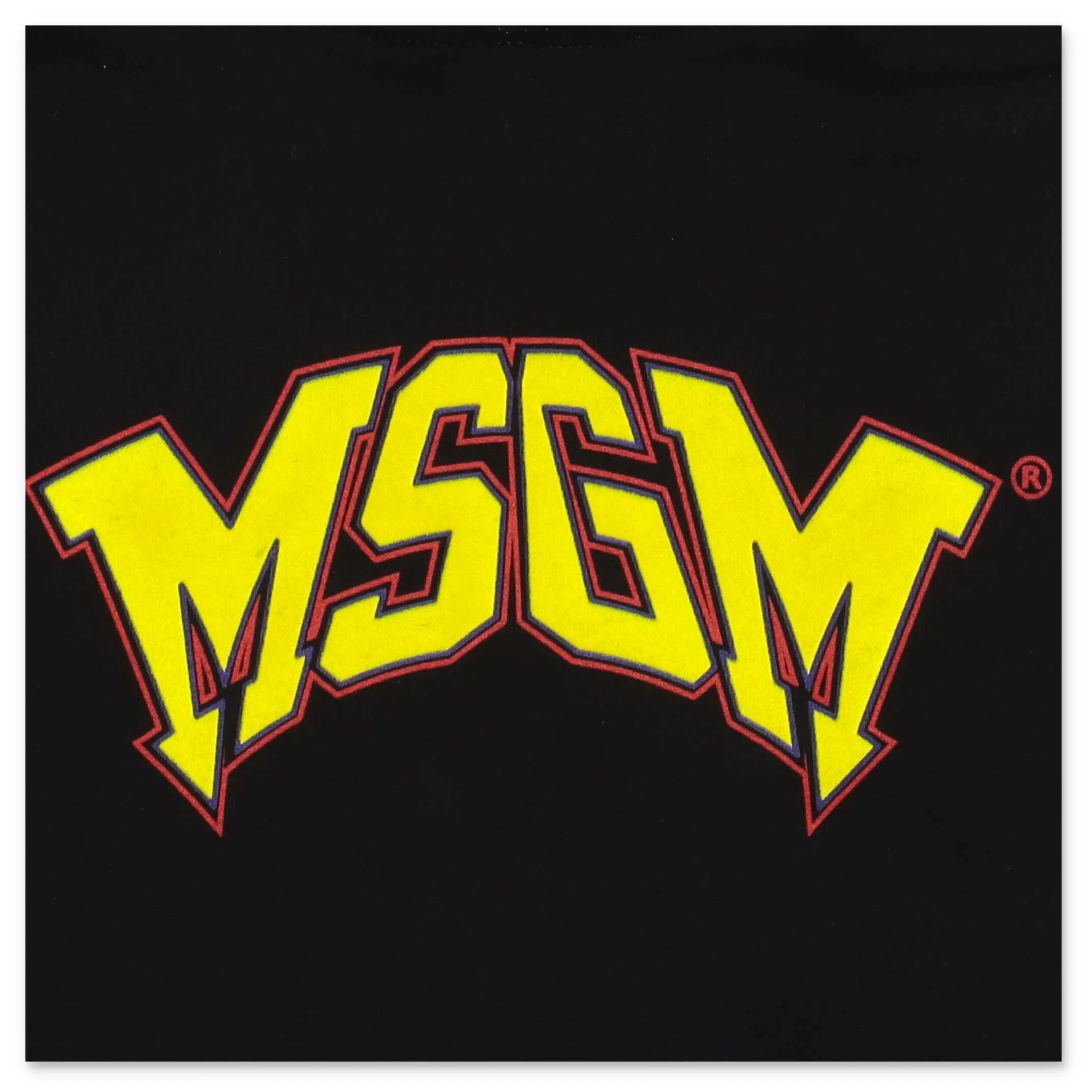 MSGM Kids Logo Printed Hoodie