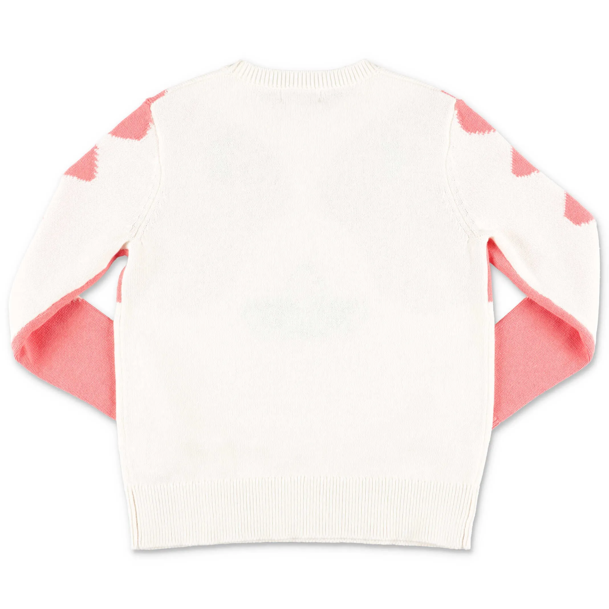 Stella McCartney Kids Doodle Dog Knitted Jumper